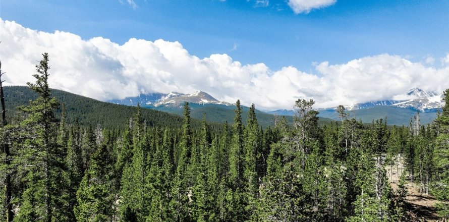 Land in Breckenridge, USA No. 62296