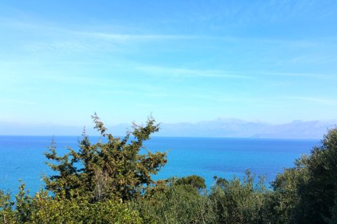 4010m² Land in Corfu, Greece No. 58846 6