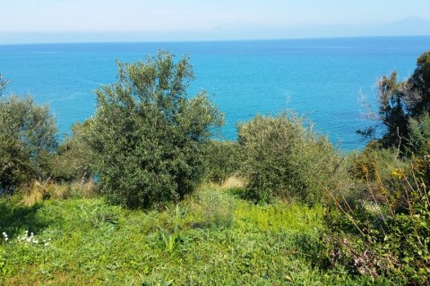 4010m² Land en Corfu, Greece No. 58846 7