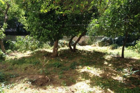 480m² Land en Euboea, Greece No. 58921 2