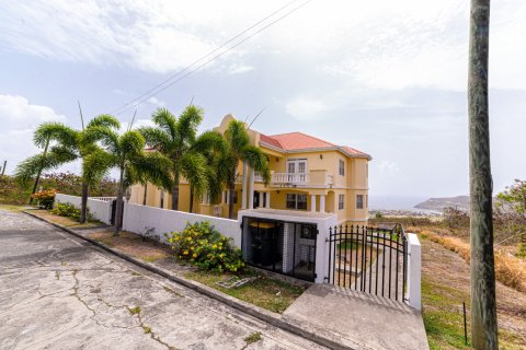 5 chambres Villa à Frigate Bay, Saint Kitts and Nevis No. 61483 2