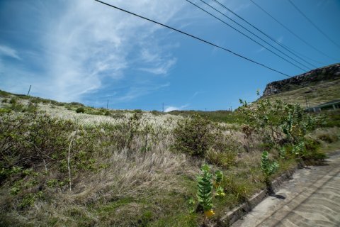 1221.86m² Land à Lucas, Saint Kitts and Nevis No. 61479 3