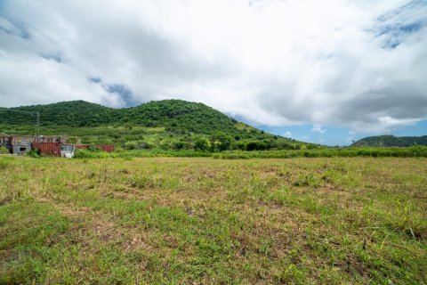 464.52m² Land in Saint Peter's, Saint Kitts and Nevis No. 61480 1