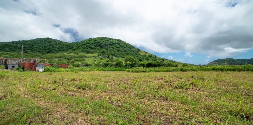 464.52m² Land in Saint Peter's, Saint Kitts and Nevis No. 61480