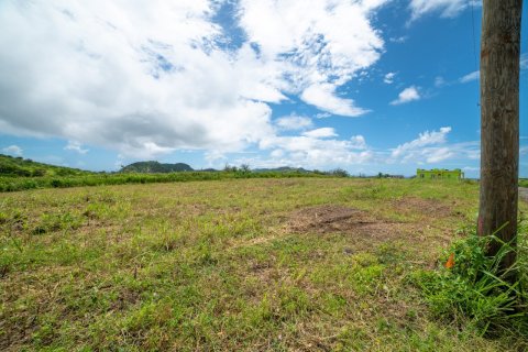 464.52m² Land en Saint Peter's, Saint Kitts and Nevis No. 61480 2