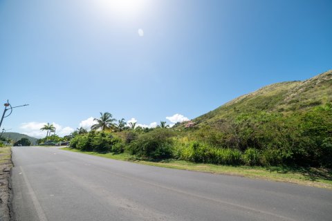 Land à Frigate Bay, Saint Kitts and Nevis No. 61477 1