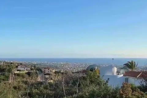 7358m² Land à Tala, Cyprus No. 35331 1