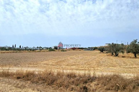 12900m² Land en Livadia, Cyprus No. 35954 2