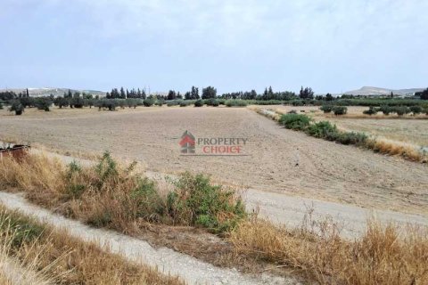 12900m² Land en Livadia, Cyprus No. 35954 1