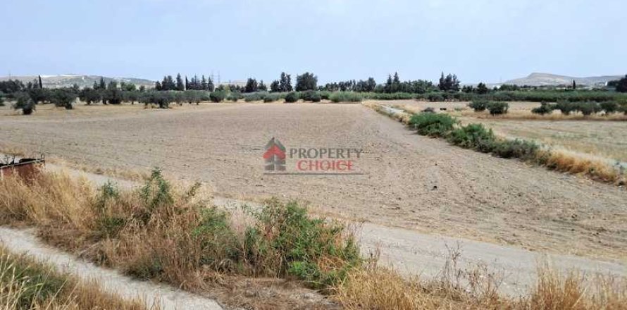 12900m² Land en Livadia, Cyprus No. 35954