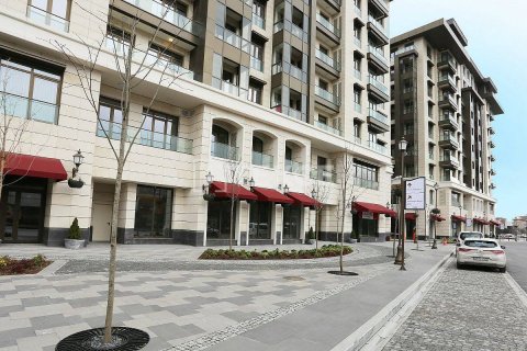 1+1 Appartement à Istanbul, Turkey No. 11752 12