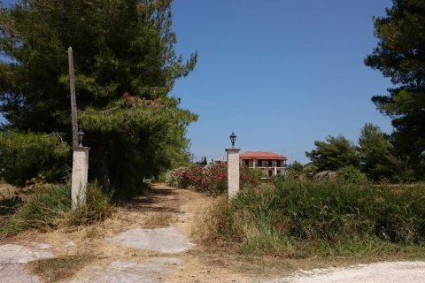 Hotel en Zakynthos, Greece No. 49976 8