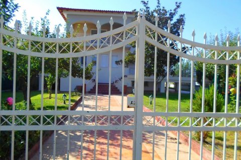 5 dormitorios House en Vasilika, Greece No. 58433 9