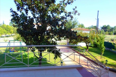 5 dormitorios House en Vasilika, Greece No. 58433 24