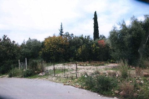 4413m² Land en Lefkada, Greece No. 56637 3