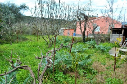 220m² House en Corfu, Greece No. 56616 25