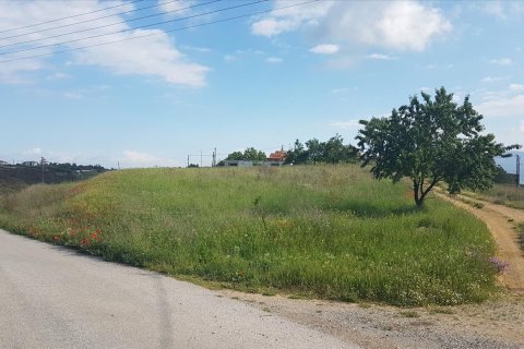 1650m² Land in Thessaloniki, Greece No. 57381 1