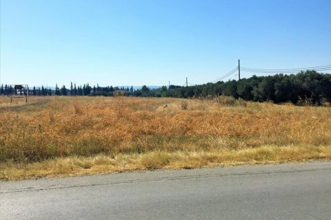 15240m² Land à Thermi, Greece No. 57892 2