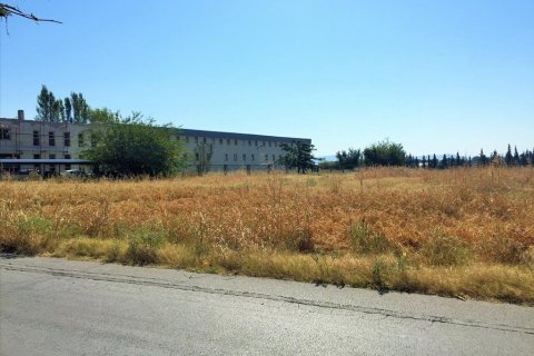 15240m² Land à Thermi, Greece No. 57892 4