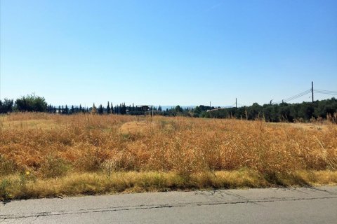 15240m² Land en Thermi, Greece No. 57892 3