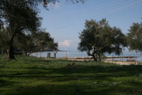 21083m² Land in Corfu, Greece No. 57894 2