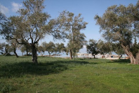 21083m² Land in Corfu, Greece No. 57894 1