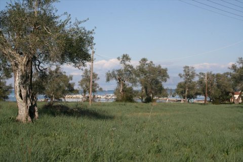 21083m² Land en Corfu, Greece No. 57894 7