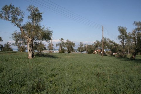 21083m² Land à Corfu, Greece No. 57894 8