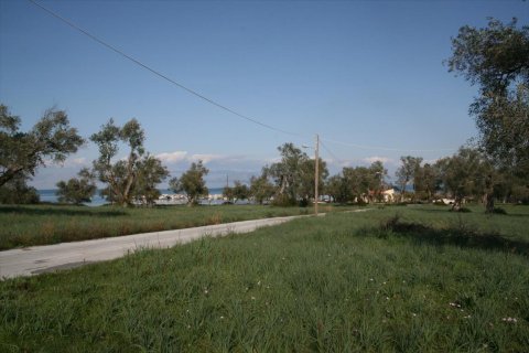 21083m² Land en Corfu, Greece No. 57894 5