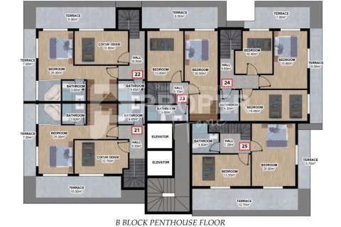 5 habitaciones Apartment en Alanya, Turkey No. 12149 2