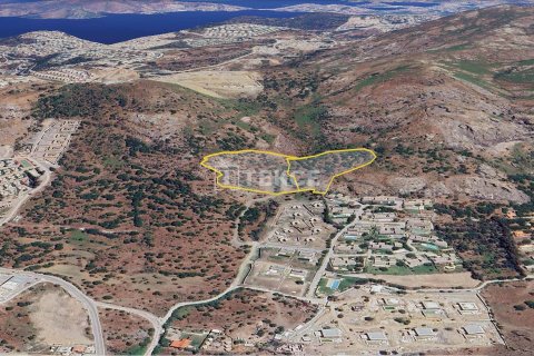 Земельный участок 30000м² в Бодрум, Турция №92930 9