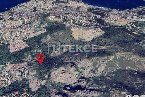 Земельный участок 30000м² в Бодрум, Турция №92930 5