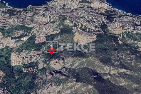 Земельный участок 30000м² в Бодрум, Турция №92930 6