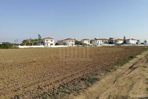 6689m² Land en Softades, Cyprus No. 35838 4