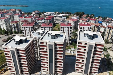 4+1 Apartment in Akcaabat, Turkey No. 12711 20