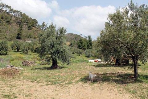 20171m² Land in Chalkidiki, Greece No. 60675 7