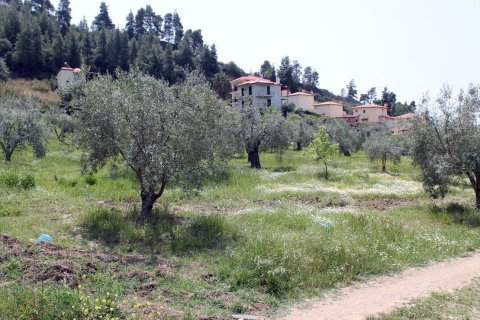 20171m² Land in Chalkidiki, Greece No. 60675 4