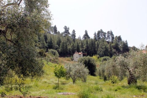 20171m² Land in Chalkidiki, Greece No. 60675 3