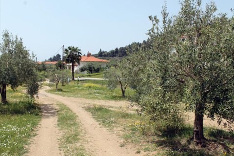 20171m² Land en Chalkidiki, Greece No. 60675 8