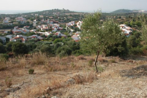 7230m² Land à Chalkidiki, Greece No. 60672 1