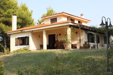 260m² Villa in Chalkidiki, Greece No. 60673 6