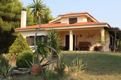 260m² Villa in Chalkidiki, Greece No. 60673 1