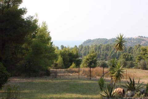 260m² Villa in Chalkidiki, Greece No. 60673 3