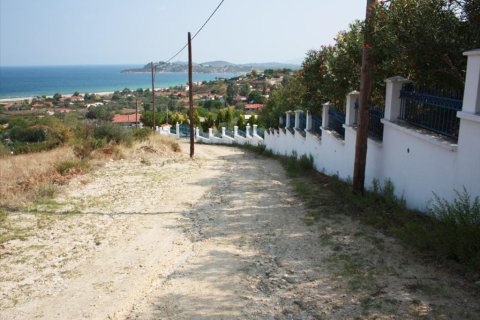 6000m² Land in Chalkidiki, Greece No. 60671 4