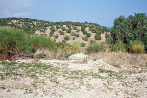 6000m² Land à Chalkidiki, Greece No. 60671 3