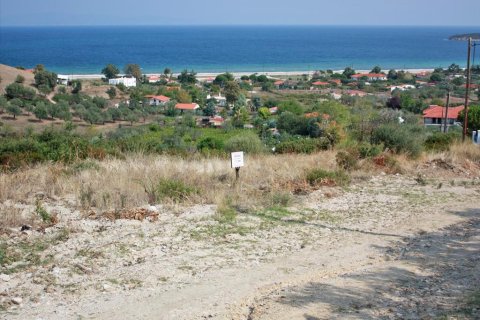 6000m² Land à Chalkidiki, Greece No. 60671 2