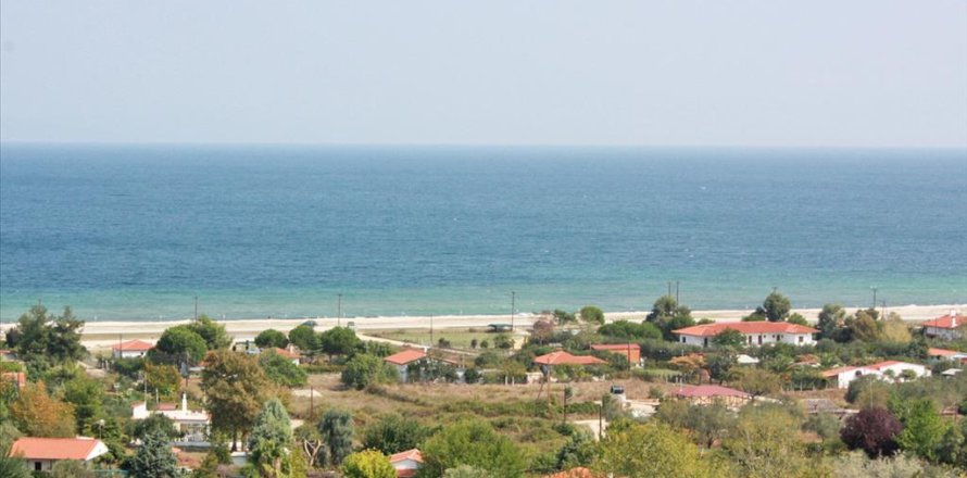 6000m² Land in Chalkidiki, Greece No. 60671