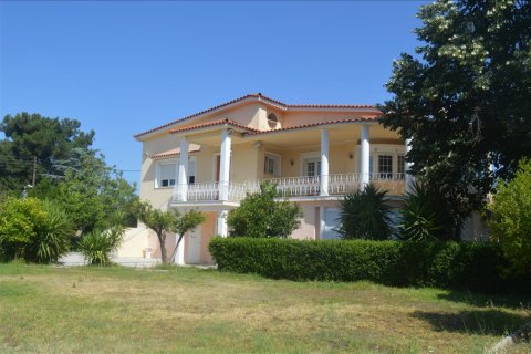 320m² Villa in Athens, Greece No. 49666 1