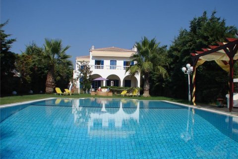 7 bedrooms Villa in Spetses, Greece No. 60018 1