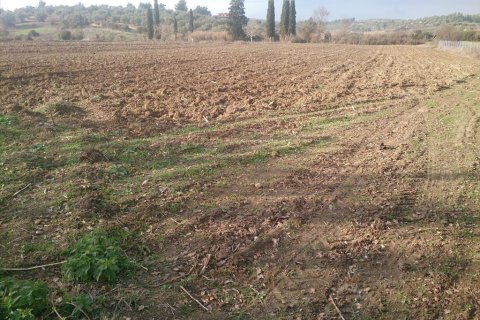 29643m² Land in Chalkidiki, Greece No. 60588 5